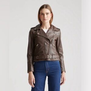 Quince 100% Leather Motorcycle Jacket - Chocolate Brown - Size Medium